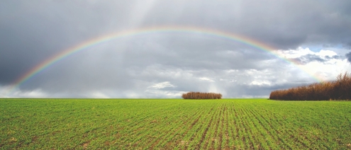 Weather phenomenon rainbow